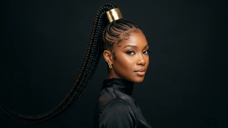 Braided Ponytail Styles
